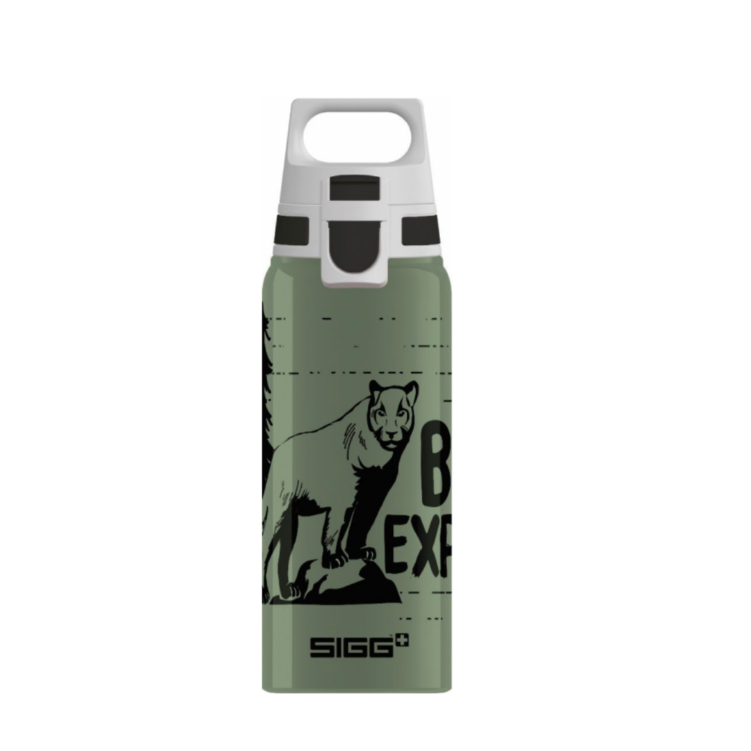 Kids Water Bottle WMB ONE Brave Lion, 600ml