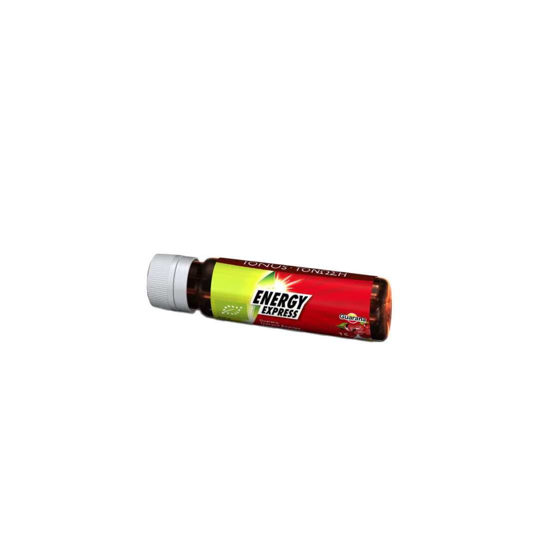 Ortis Energy Express